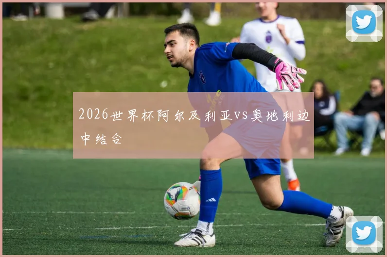 2026世界杯阿尔及利亚vs奥地利边中结合