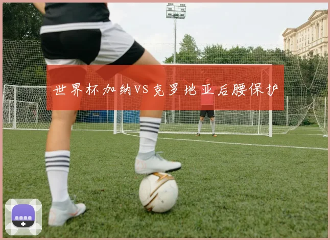 世界杯加纳vs克罗地亚后腰保护