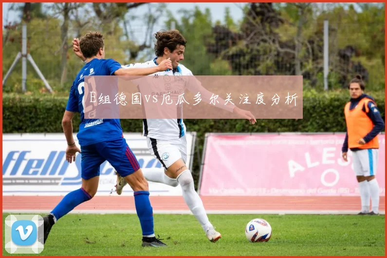 E组德国vs厄瓜多尔关注度分析