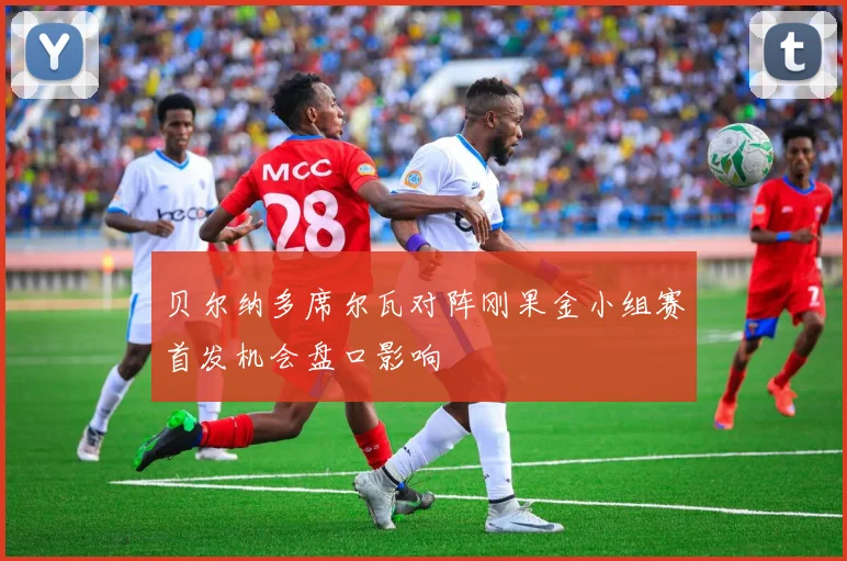 贝尔纳多席尔瓦对阵刚果金小组赛首发机会盘口影响