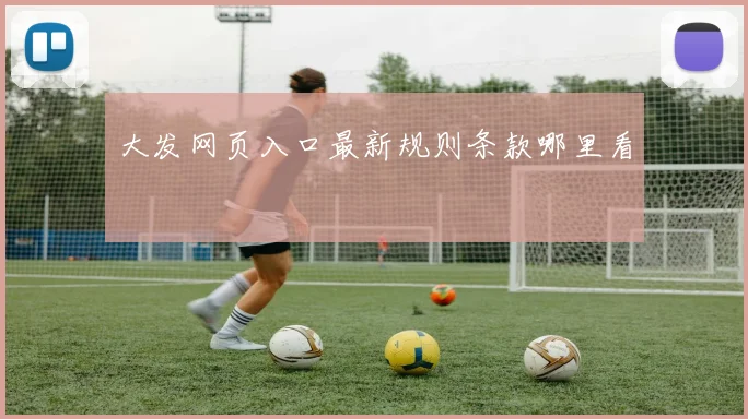 大发网页入口最新规则条款哪里看