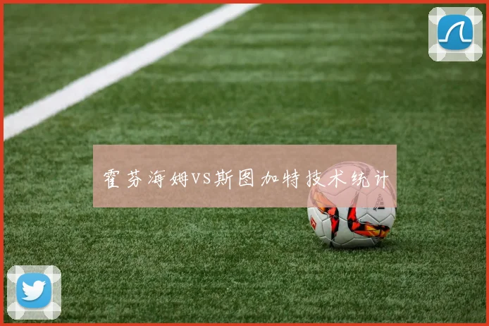 霍芬海姆vs斯图加特技术统计